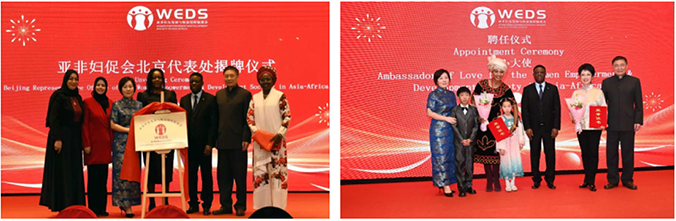 1737425930918911.png 0333.png